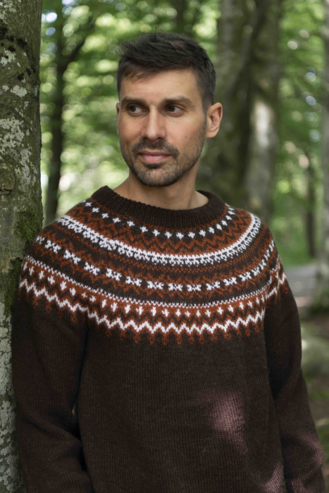Fenna Herrenpullover