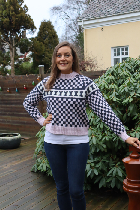 Dale - Norway Chess Raglanpullover 466-01