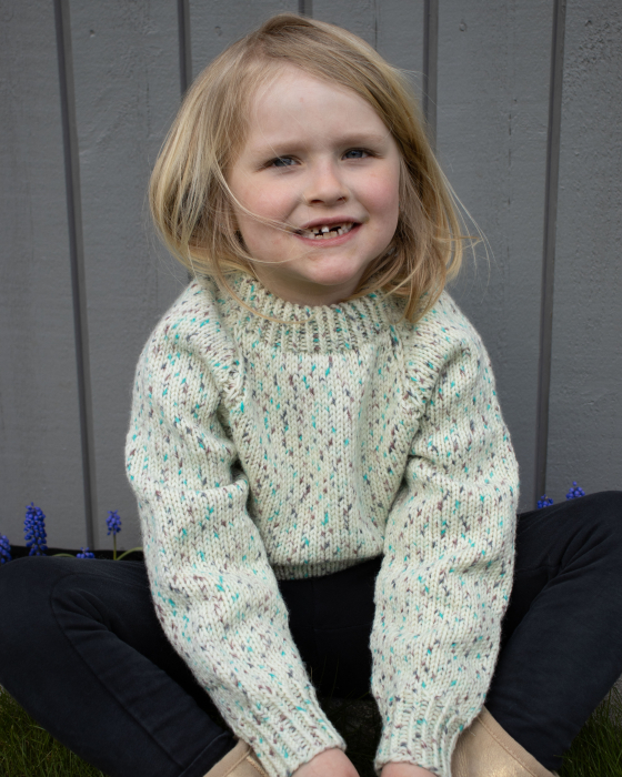 Eventyrlig Oppussing x HOY Rott Pullover DG486-18