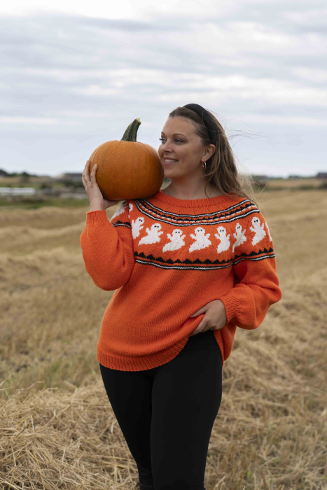 Halloween Pullover
