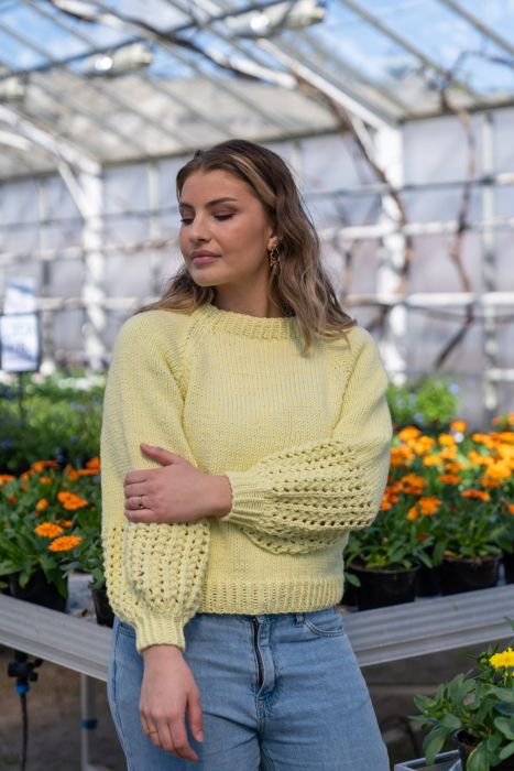Netti Pullover Chunky (Amiga)