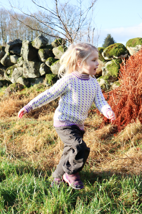 Dale - Islender Kinderpullover DG 463-15