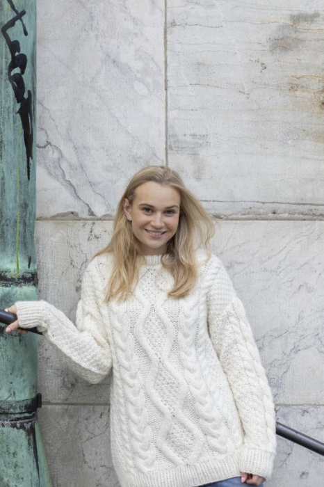 DSA - Sirius Pullover Natur 102-01