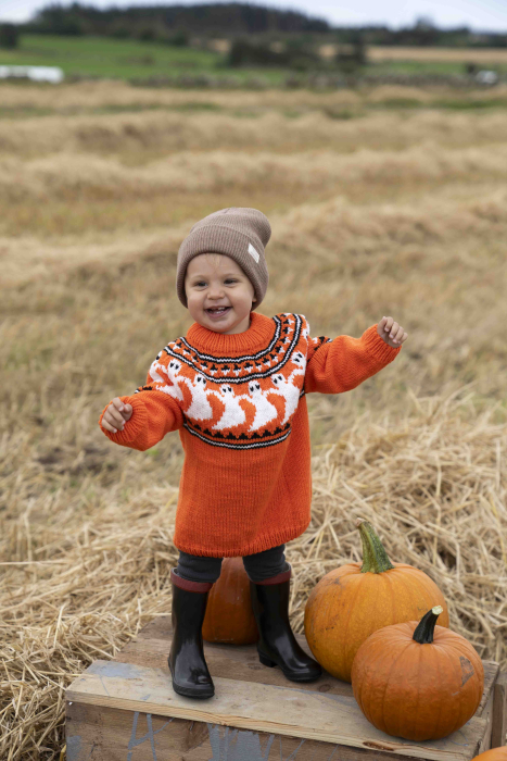 Halloween Pullover Kids 