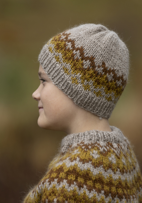Viking - Cygnos Lue 2302-1